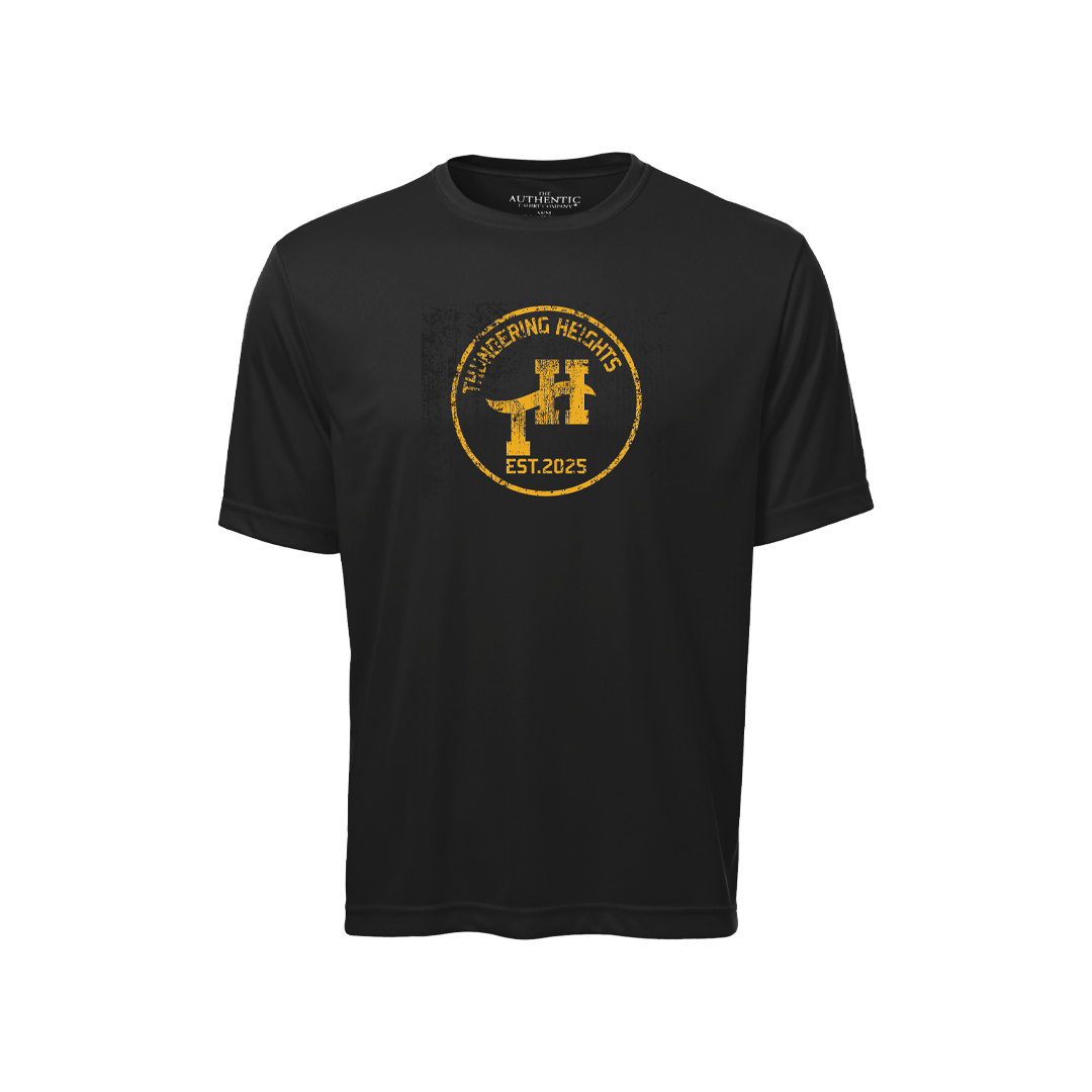 THL Distressed Tech Shirt