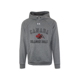 DBC UA Hoodie