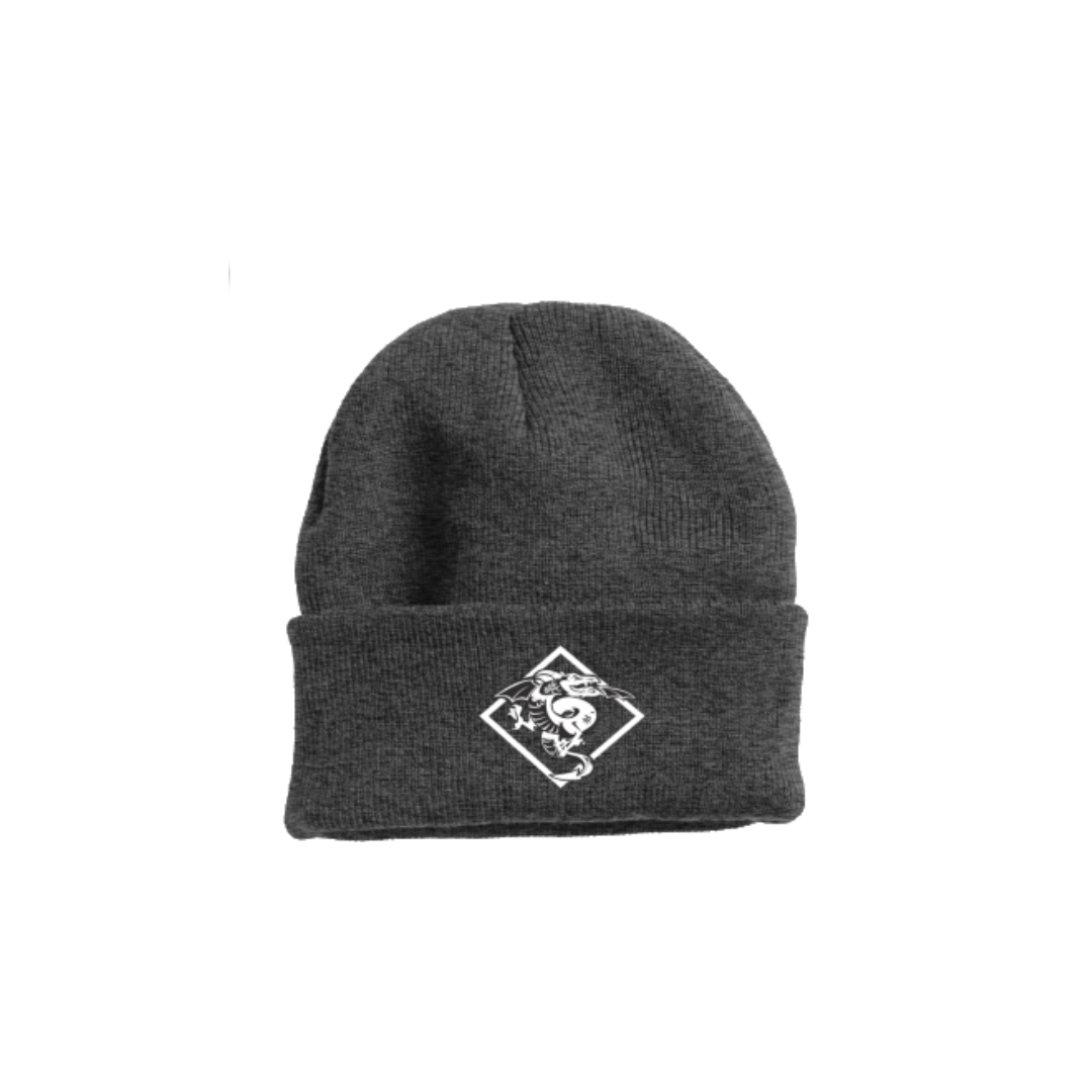 DT Beanie