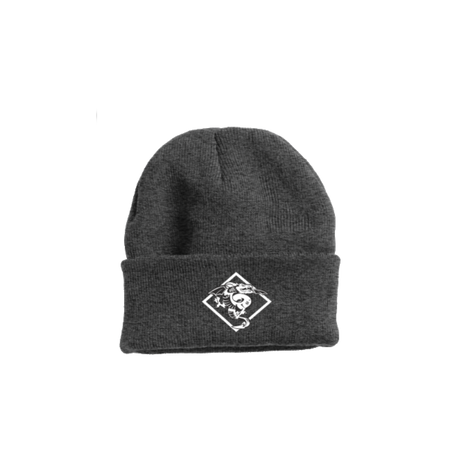 DT Beanie