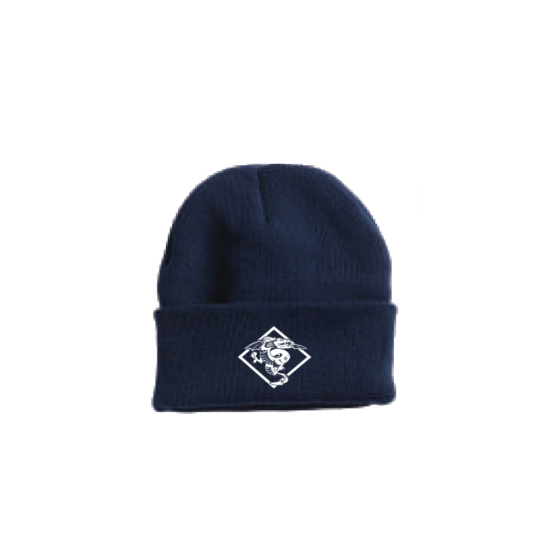 DT Beanie