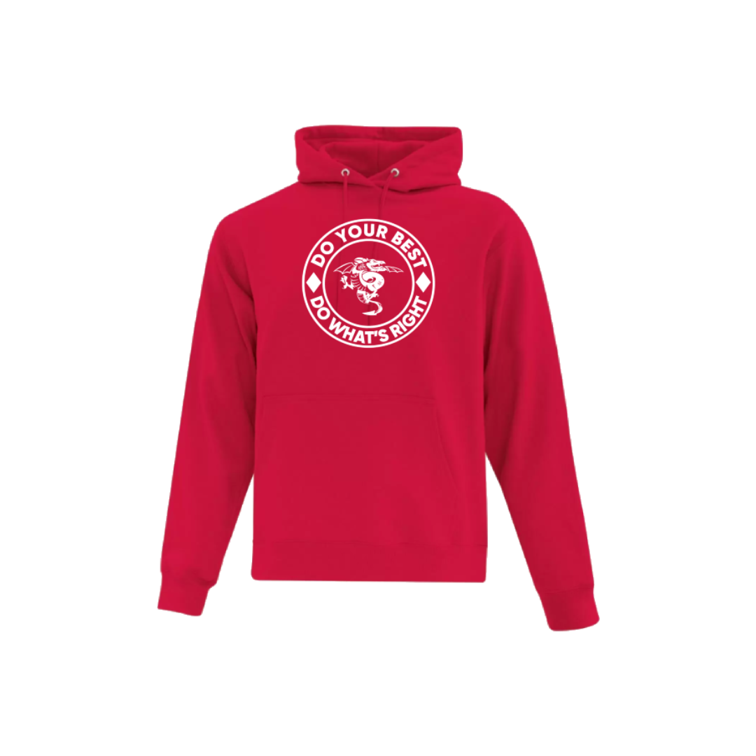 DT Pullover Hoodie Youth