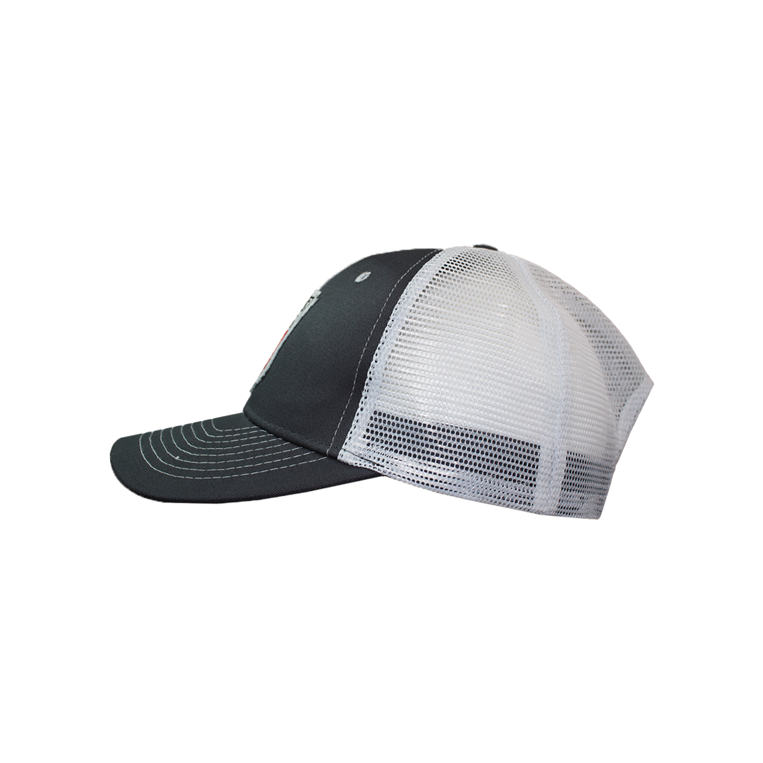 P2A Premium Snapback